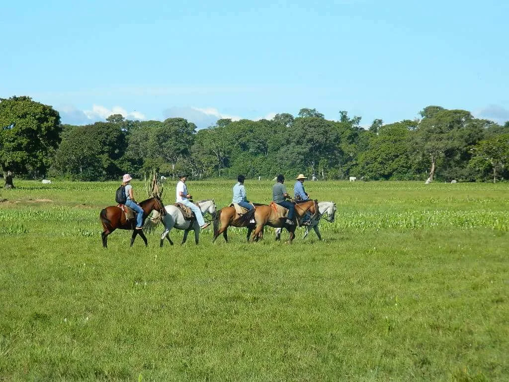 HORSE TOUR