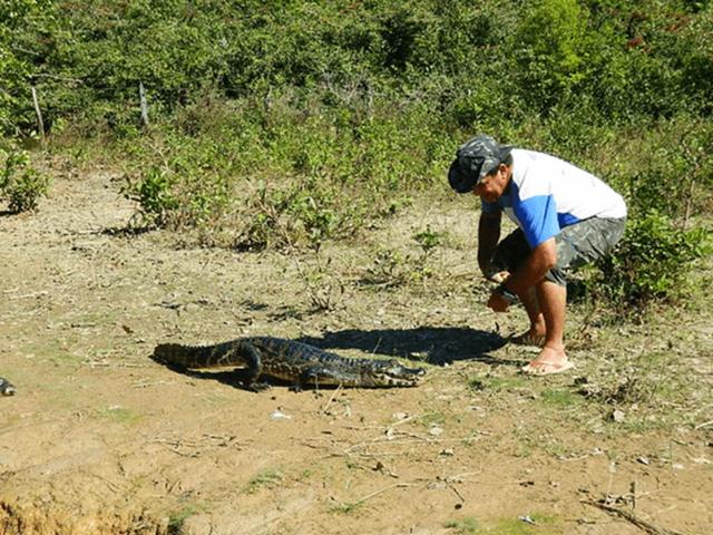 CHAPADA PANTANAL TURISMO